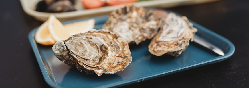 Oysters; Photo by Natalie Gildersleeve