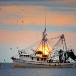 Marine Fish Conservation Network: A First for the Fish!