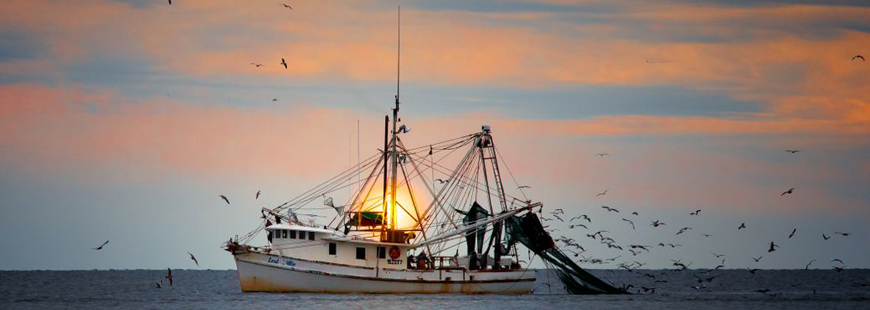 Fishing boat in North Carolina waters, by Mark Stebniki via Pexels