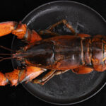 Forsaking the Future of New England Lobster: Part I