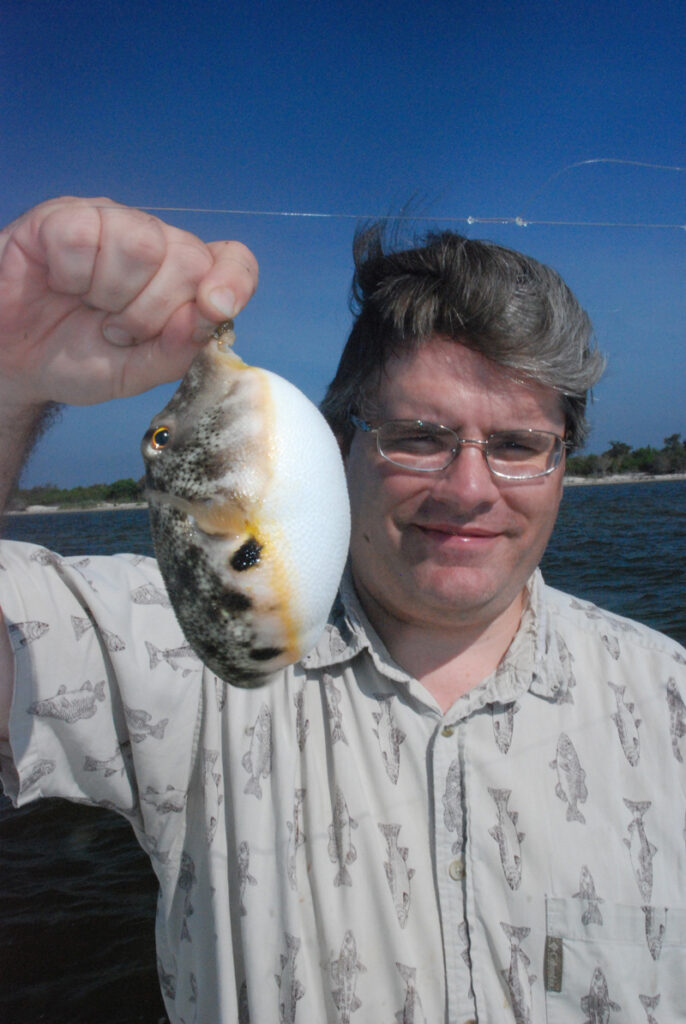 Pufferfish puffed Marine Fish Conservation Network