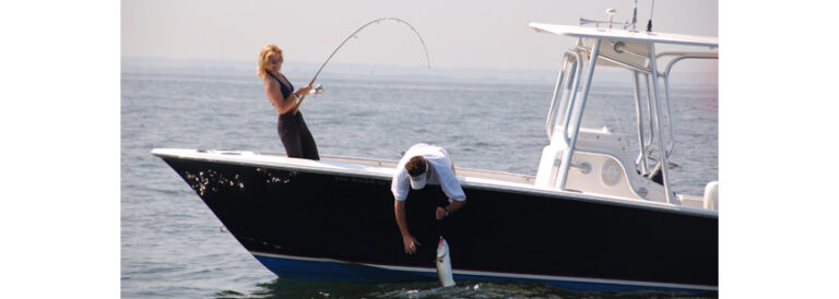 Council Staff, Scientists Caution Against Mid-Atlantic "Harvest Control ...