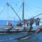 Restaurants & Fishermen Unite For Seafood Labeling Law