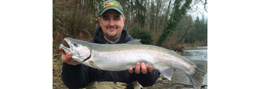 Tim Wilson with a January 5th Clackamas River steelhead from the Clean Columbia fishing tournament, raising awareness of the dangers of siting the nation's largest oil-by-rail terminal near one of our favorite fishing spots, Davis Bar on the lower Columbia River