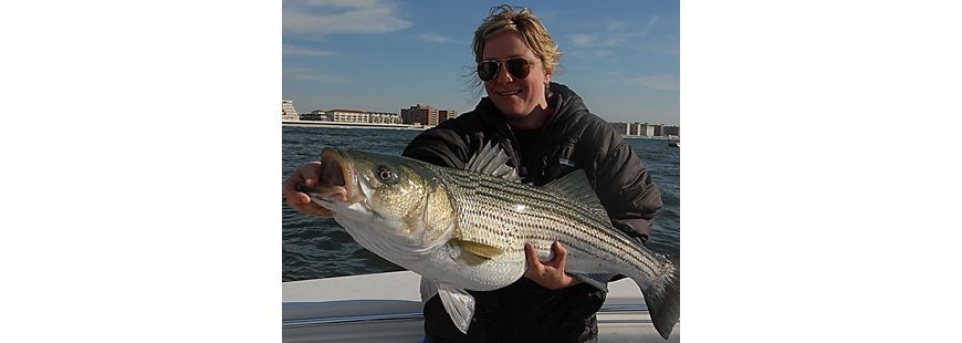 Stripers aren't protected by the Magnuson-Stevens Act
