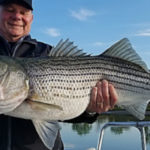 Striped Bass & Bluefish:  Same Problem, Different Managers, Very Different Approaches