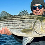 What’s Really Going On With Striped Bass?