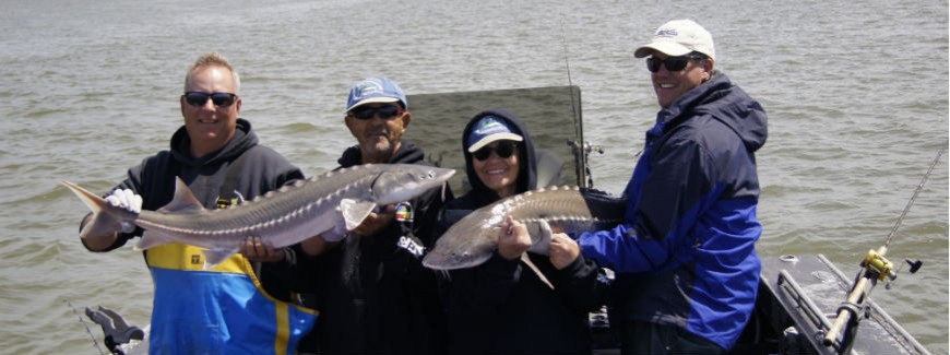Sturgeon caught and released on the Columbia River