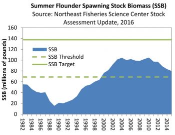 Summer flounder (fluke) spawning stock biomass (SSB) has been on the decline for six years 