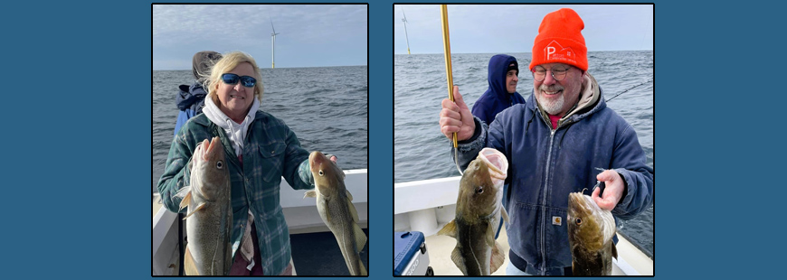 Fishing Machine Charters, Pt. Judith, RI hooked up with cod, pollock and cunner in the Cox Ledge area wind farm this winter.