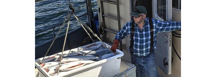 Alaskans Own fisherman Gregg Jones of the F/V Sea Miner unloads his catch of coho salmon. Photo credit: Alyssa Russell