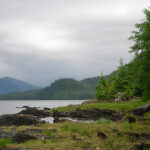 Forest Management for Sustainable Fisheries: An Update from the Tongass National Forest