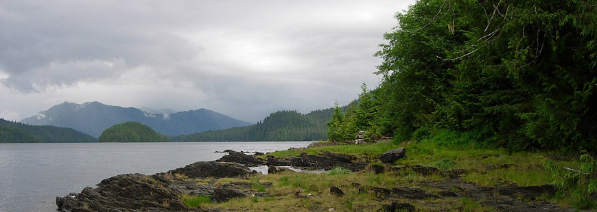 Shoreline in the Tongass, via Wikipedia