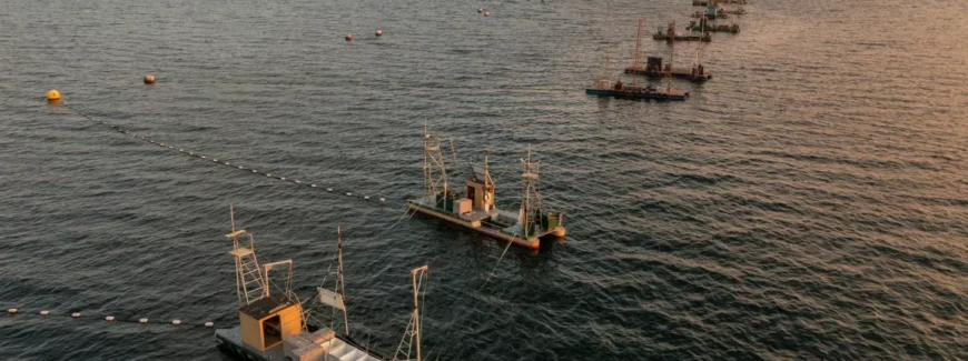 Wild Pacific salmon reef net fishing boats off Lummi Island, Washington. Credit: Edmund Lowe/Getty Images